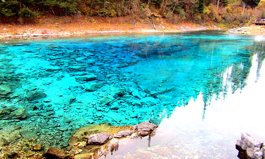 Five-colored Pond