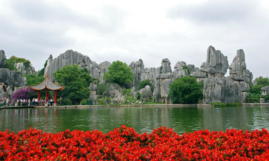 Stone Forest in Spring 