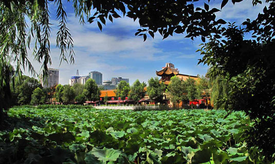 Kunming in Summer