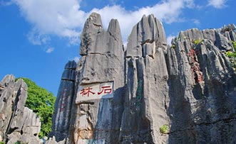 Kunming Stone Forest Travel Guide