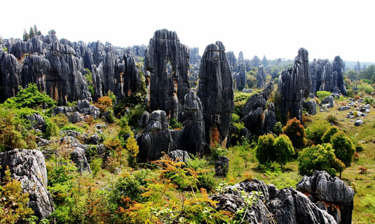 Peculiar Stone Forest