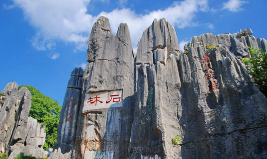 Stone Forest