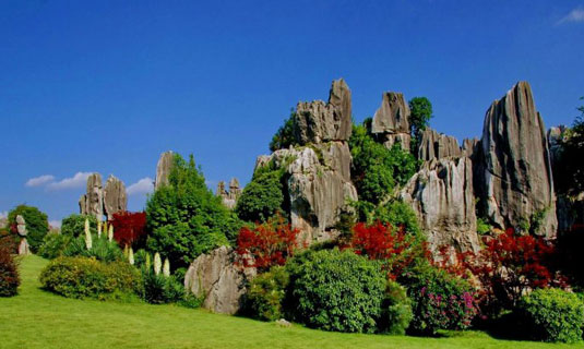 Stone Forest