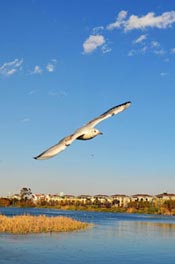Top 10 Things to Do in Kunming
