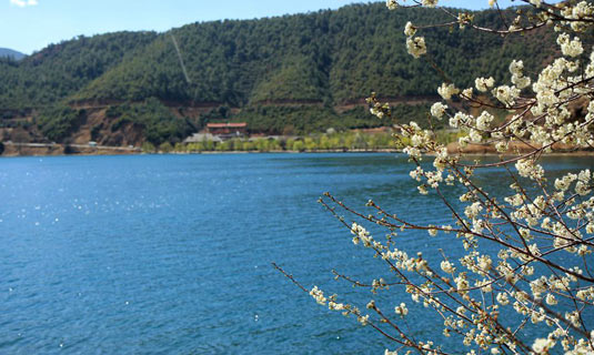 The Scenery of Lugu Lake in Spring