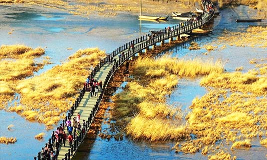 The Walking Bridge at Caohai