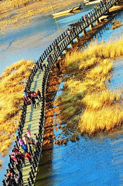 Walking Marriage Bridge