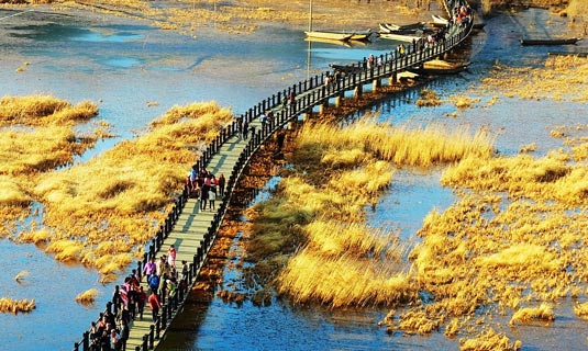 The Walking Bridge of Lugu Lake