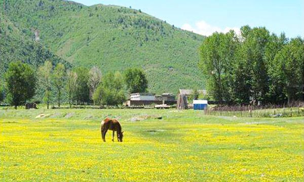 Fangcao Prairie