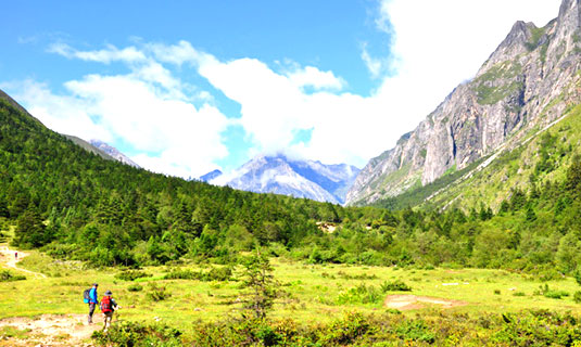 Gexi Grassland