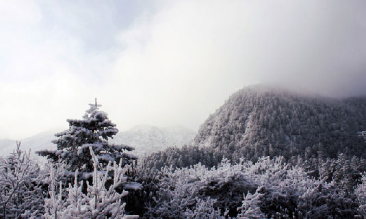 Hailuogou in Winter