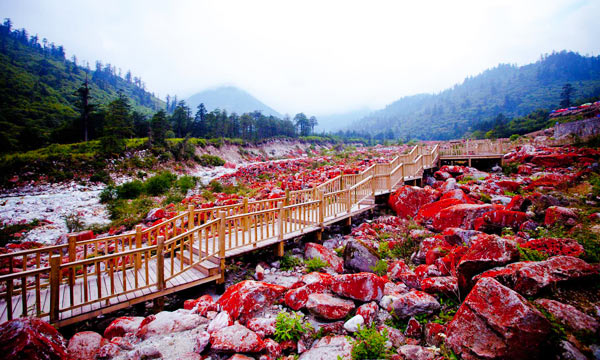 Red Rock - Unique Only to a Very Few Places in the World