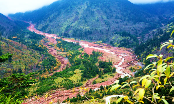 Summer - Enjoy the Spectacular Scenery