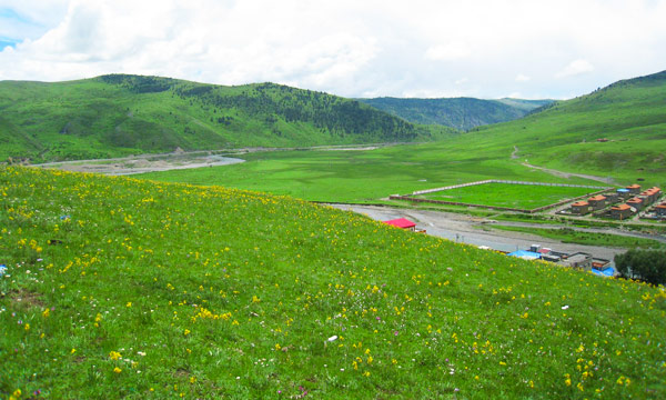 The Vast Expanse of Tagong Grassland