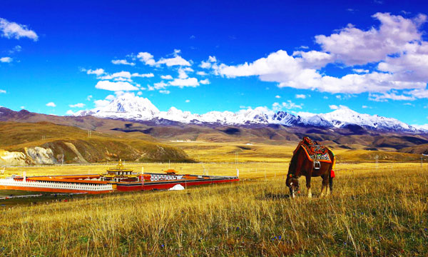 Tagong Grasslands - A Huge Expanse of Prairie