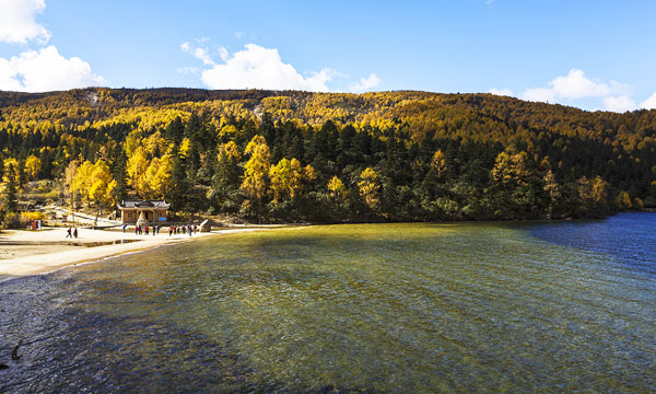 The leaves on the many deciduous trees start to change color