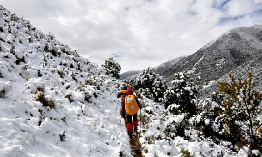 The Trekking Road of Mount Gongga