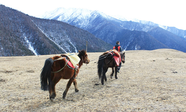 Riding a horse to explore Yanzigou Scenic Area.