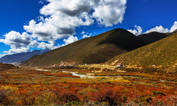 The Beauty of Zimei Village