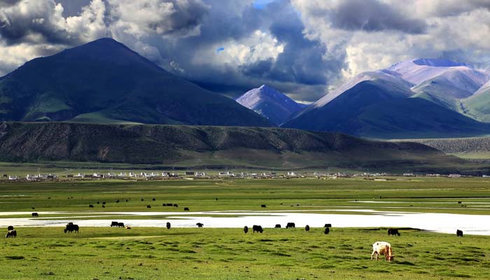Qinghai Tibet Highway Northern Tibet Grassland