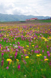 Ruoergai Climate and Weather