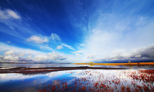 Flower Lake