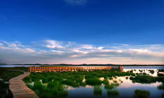 Flower Lake in Summer