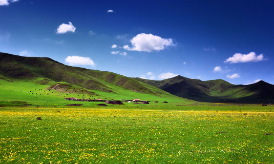 Ruoergai Prairie