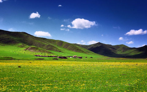 Ruoergai Prairie Travel Guide