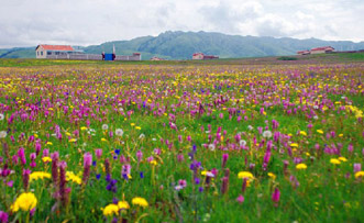 Ruoergai Climate and Weather