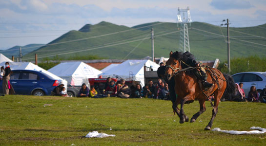 Ruoergai Yadun Festival