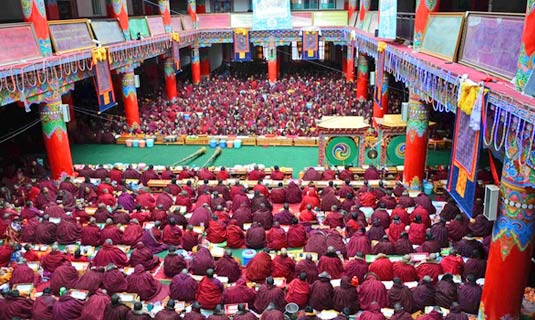 Jueshi are Studying in Wuming Buddhist Academy