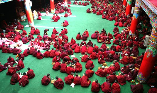 Jueshi or Lama are studying in the Wuming Buddhist Academy