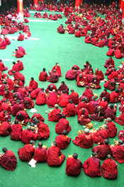 Lama study in Buddhist Academy