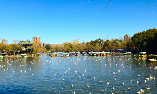 Kunming