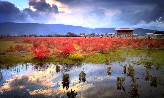 Shangri-La