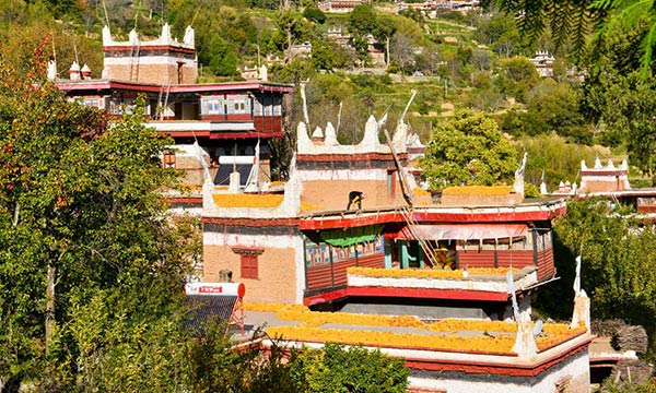 The red, white, and crown shaped roofs are peppered in close clusters in the village. 