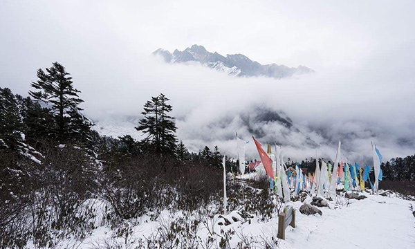 Hailuogou National Glacier Forest Park