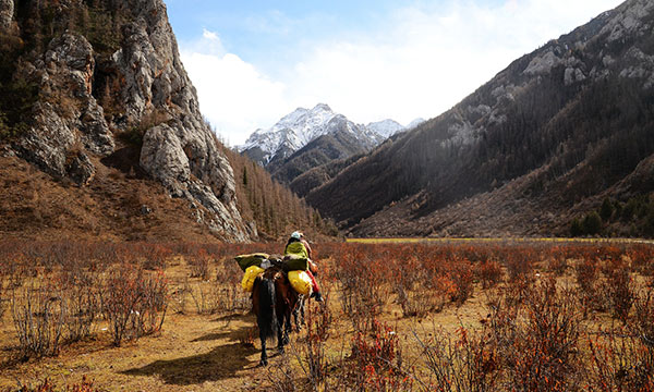 Trekking with Horseback Riding in Qizanggou Valley