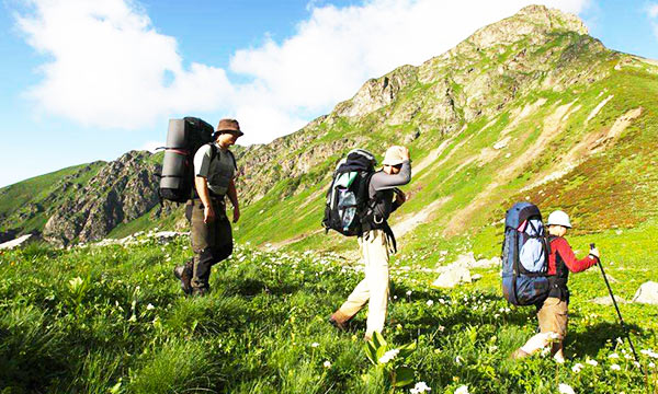 Spring in western Sichuan brings the start of new life for plants.