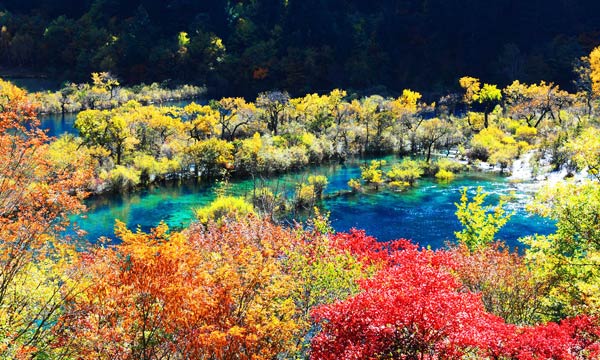 Autumn - The Most Beautiful Season in Jiuzhaigou