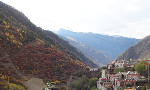 Best Time to Visit Rilong Town