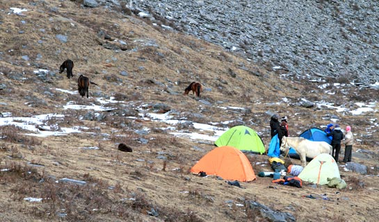 Camp at Erfeng Base Camp of Mt. Siguniangshan