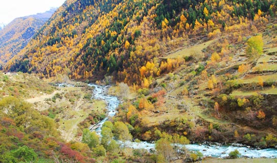Mt. Siguniangshan Area in Autumn