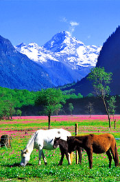 Mount Siguniangshan in spring