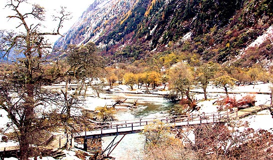 Mt. Siguniangshan Area in Winter