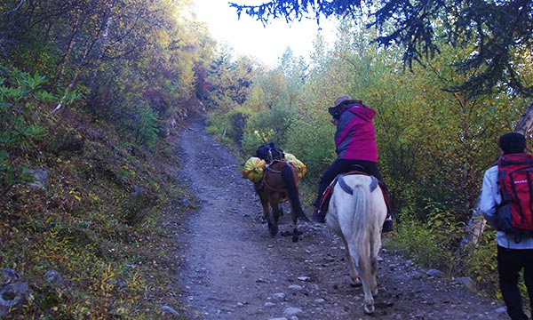 Riding a horse to finish the rest of journeys.