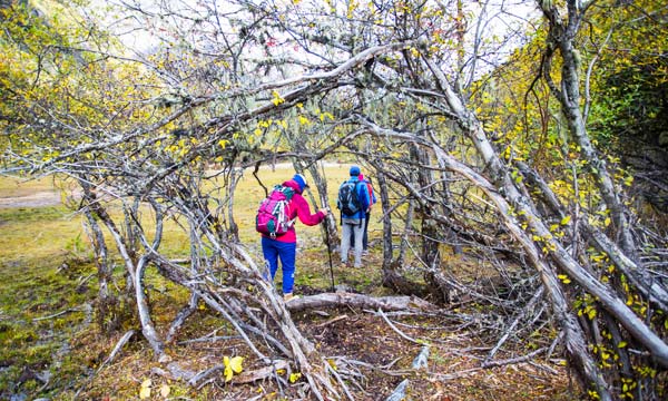 Day tourists get involved with nature.