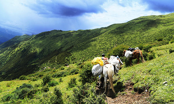 Explore Haizi Valley by Horseback Riding