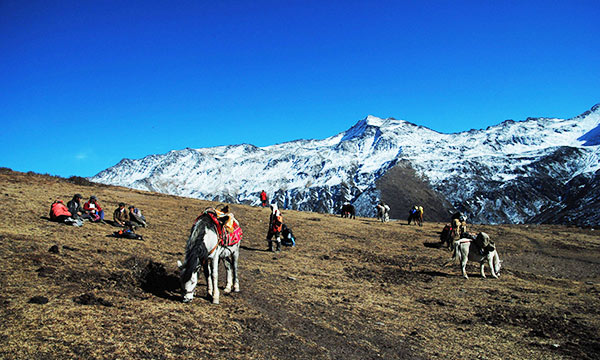 Horse Riding in Haizi Valley